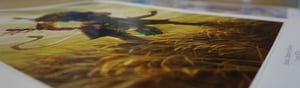 FINE ART & DECOR