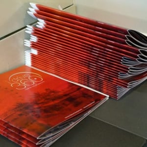 Program Printing