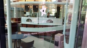 Stanley-Manne-Vinyl-Cut-Lettering-on-Windows