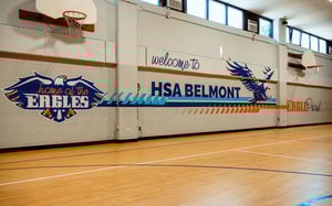 HSA Large Graphic_WebOpt
