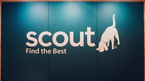 Wallcovering_Scout
