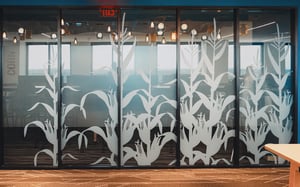 CornPrivacyGlass_WindowGraphic-7