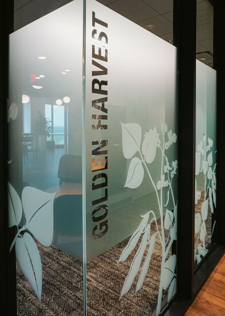 Privacy Film_Office Environmental Branding-10