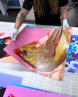 Fine Art Handling
