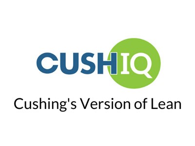 Smaller CushIQ Logo
